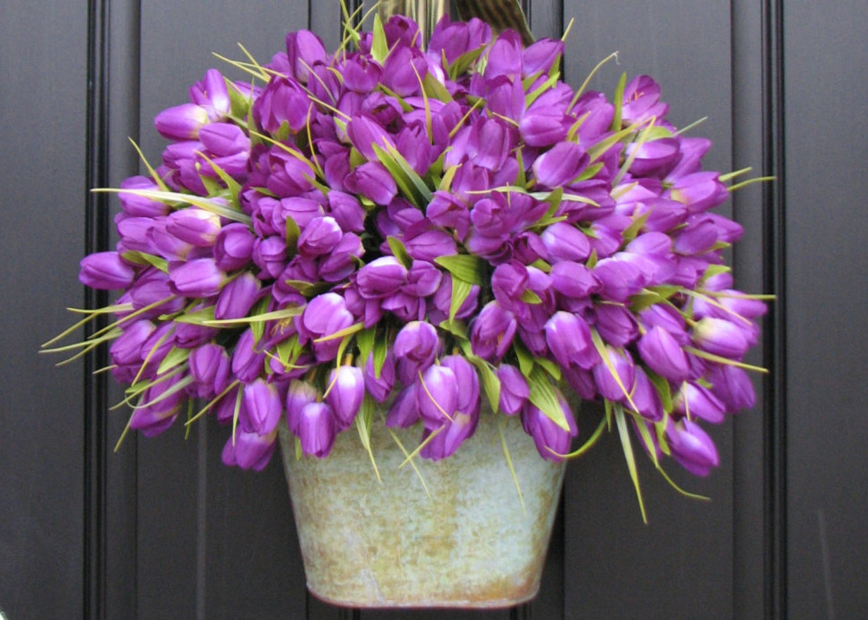 131 фиолетовый тюльпан