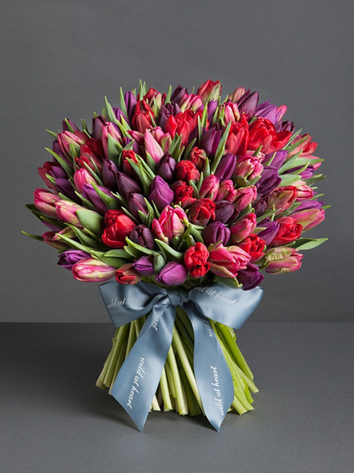 101 фиолетово-красный тюльпан