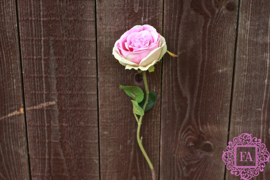 Роза "Дэвида Остина" розовая