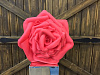 Миниатюра Большая роза пионовидная - foto #1
